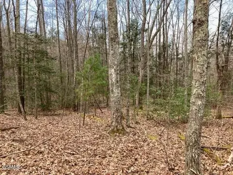 0 Dockery Branch Rd, Sevierville, TN 37876