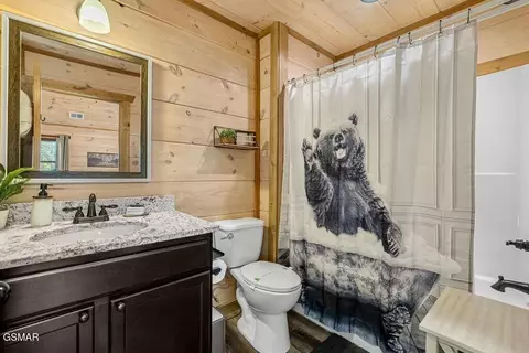 Bath - 1663 Falls Way, Pigeon Forge, TN 37863 photo 3 of 4
