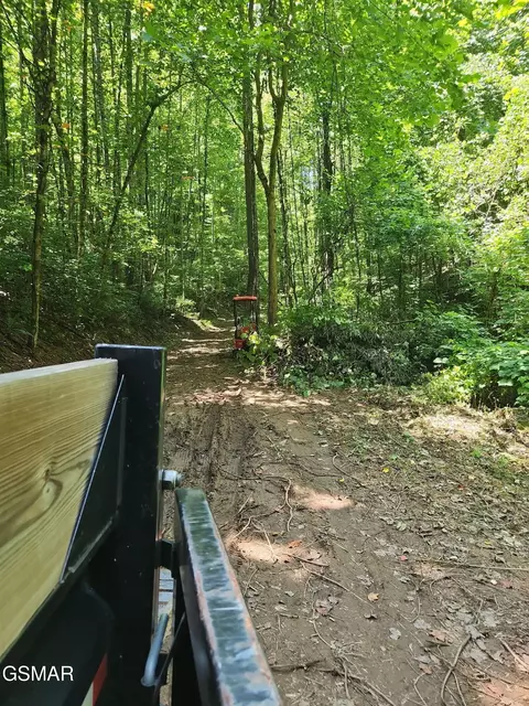 0 Lower Rinehart Rd, Dandridge, TN 37725