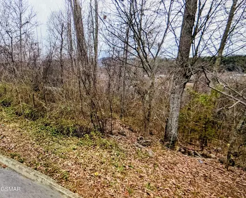 lot141 Low Valley Rd, Dandridge, TN 37725