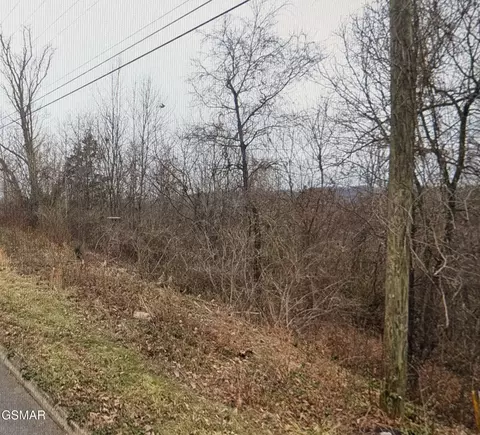 lot142 Low Valley Rd, Dandridge, TN 37725