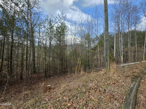 lot128 Bear Vly, Sevierville, TN 37876