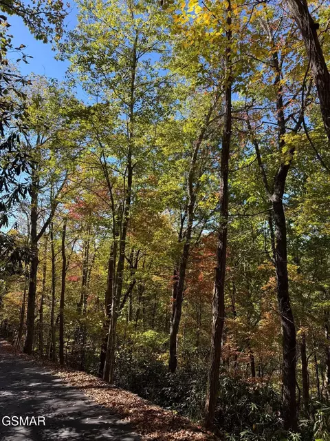 0 Ownby Cir, Gatlinburg, TN 37738