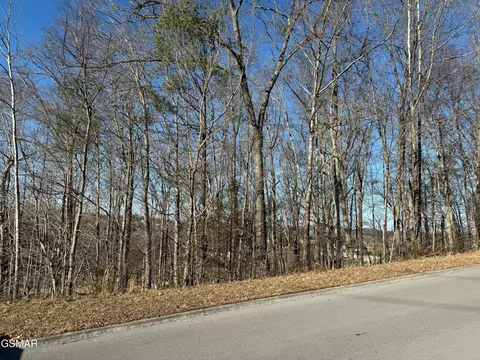 0 Warbler Pt, Sevierville, TN 37876