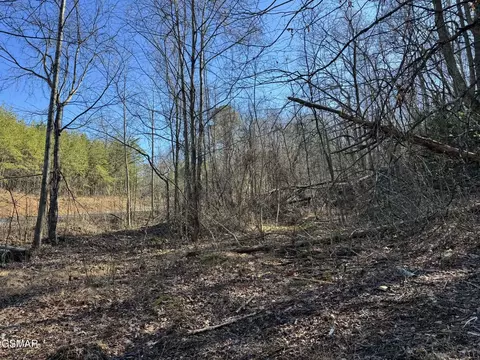 lot27 Blue Springs Way, Newport, TN 37821