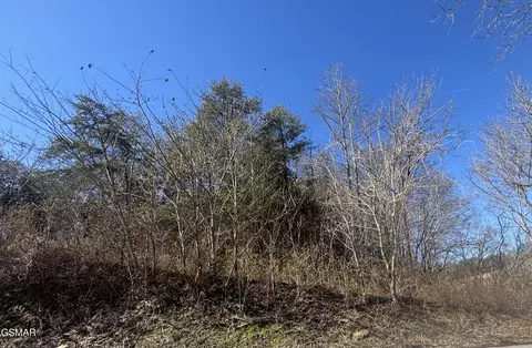 Tract 4 Rule Hollow Road, Sevierville, TN 37876