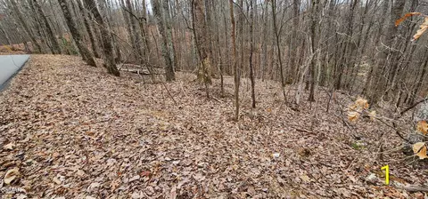 2225 King Hollow Rd, Sevierville, TN 37876