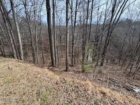 lot444 Sky Vw, Sevierville, TN 37876
