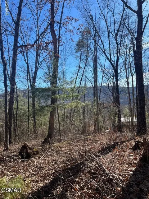 1012 Country Mountain Rd, Cosby, TN 37722