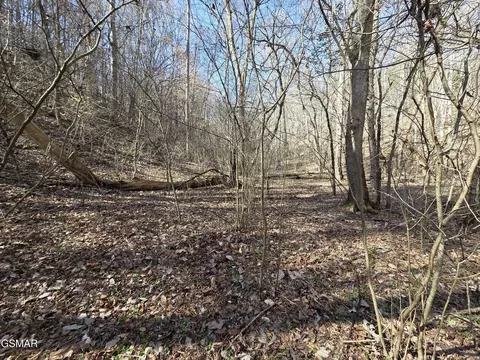 - Baysinger Road, Newport, TN 37821