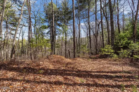 lot12 Paint Horse Way, Sevierville, TN 37876