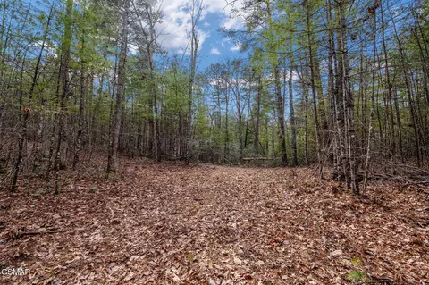lot14 Paint Horse Way, Sevierville, TN 37876