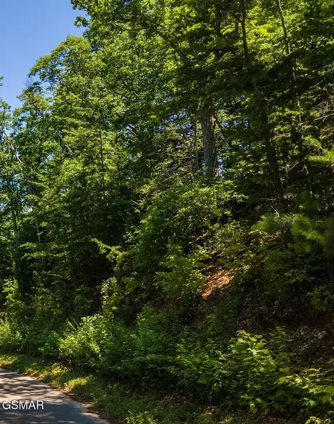 lot1 Norton Crk, Gatlinburg, TN 37738