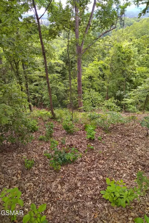 2019 Cluster Oak Way, Sevierville, TN 37876
