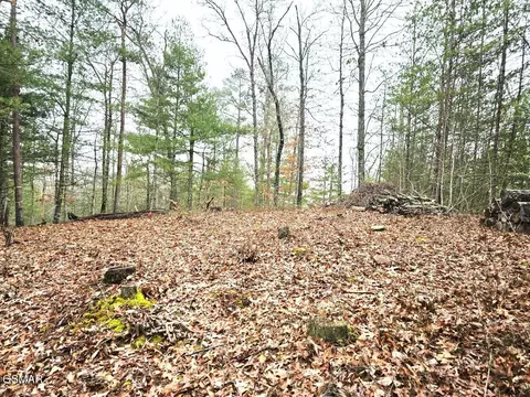 514 Percussion Ct, Walland, TN 37886