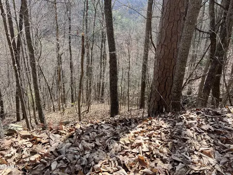 lot28 Laurel Ln, Sevierville, TN 37876