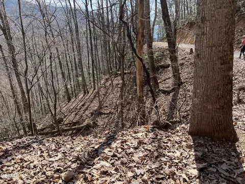 lot26 Aintree Dr, Sevierville, TN 37876