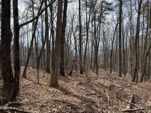 lot12 Swann Saddle Ln, Sevierville, TN 37876