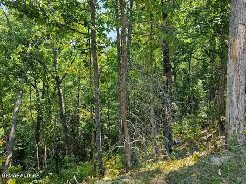 lot13 Ar Villa Ridge Pl, Sevierville, TN 37862
