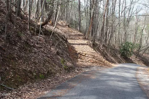 lot101 Ridgefield Dr, Sevierville, TN 37876