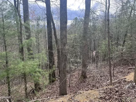 lot S 55 54 71 Yellowwood Dr, Sevierville, TN 37876