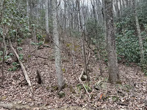 lot10 John Sevier Dr, Sevierville, TN 37876