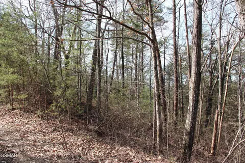 lot19 Ridge View Dr, Sevierville, TN 37876