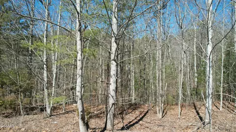 442 Hawken Dr, Walland, TN 37886