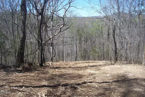 12419 Chapman Hwy, Seymour, TN 37865