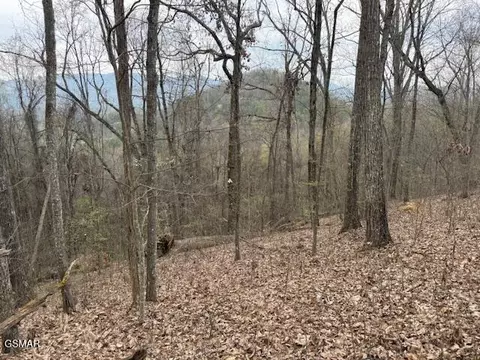 0 Bear Mountain Ln, Sevierville, TN 37876