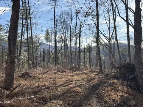 Tract 1 Bull Mountain Road, Del Rio, TN 37727