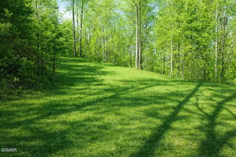 lot41 Black Maple Way, Del Rio, TN 37727