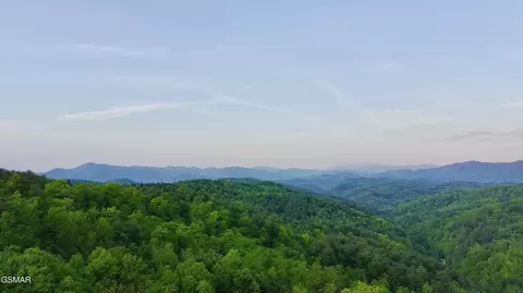 lot41 Black Maple Way, Del Rio, TN 37727