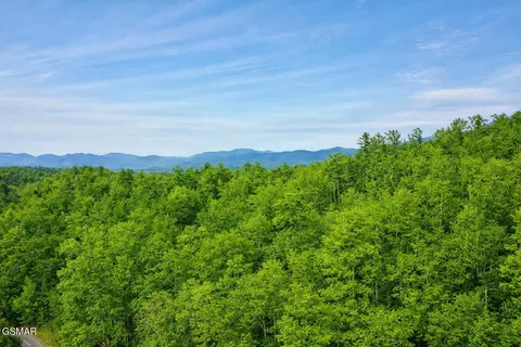 lot41 Black Maple Way, Del Rio, TN 37727