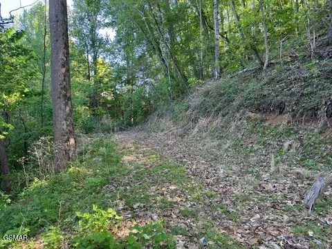 lot13 Dove View Rd, Sevierville, TN 37862