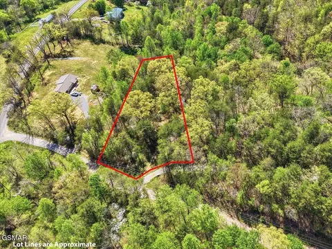 0 Dark Hollow Rd, Cosby, TN 37722