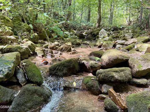 lot154 Summit Trails Dr, Sevierville, TN 37862