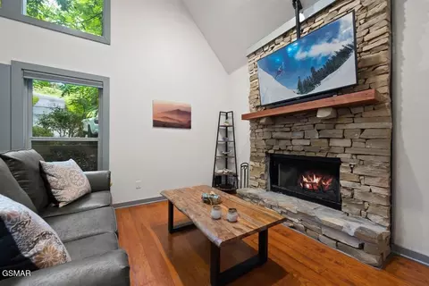 Living - 438 Laurel Rd, Townsend, TN 37882 photo 1 of 2