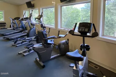 Other - 438 Laurel Rd, Townsend, TN 37882 photo 7 of 9