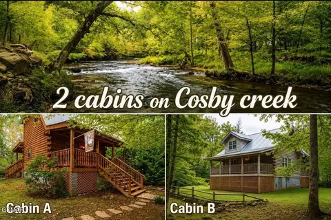 222 Limestone Way, Cosby, TN 37722