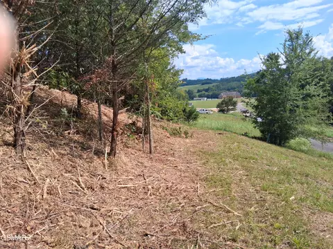 lot29 Splendor Way, Parrottsville, TN 37843