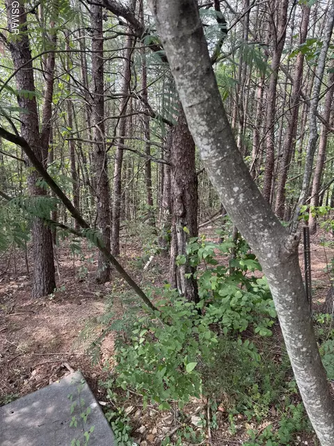 lot14 Seth Rd, Pigeon Forge, TN 37863