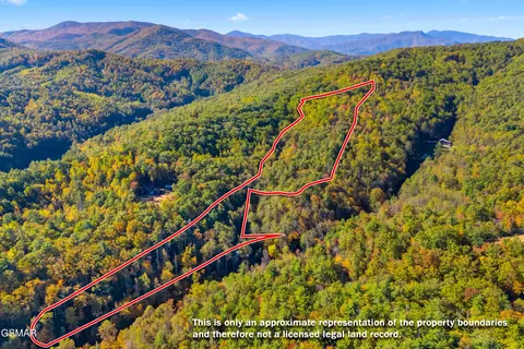 5 37 Acres Reece Holw, Del Rio, TN 37727