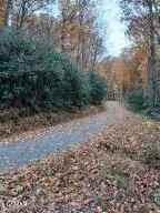 lot3 Rocky Ridge Rd, Cosby, TN 37722