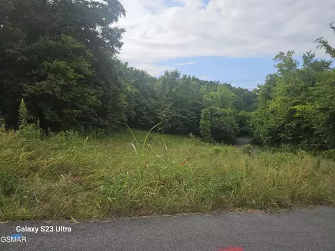 0 Ivy Way, Newport, TN 37821