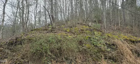 lot0006 Wildcat Ridge Rd, Sevierville, TN 37862