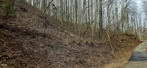 lot15 Emerald Springs Loop, Sevierville, TN 37862