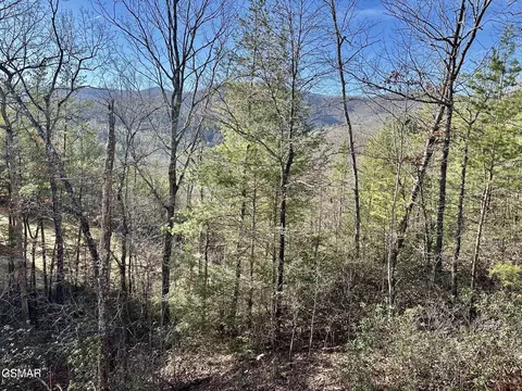 1306 Morning Dove Way, Sevierville, TN 37862