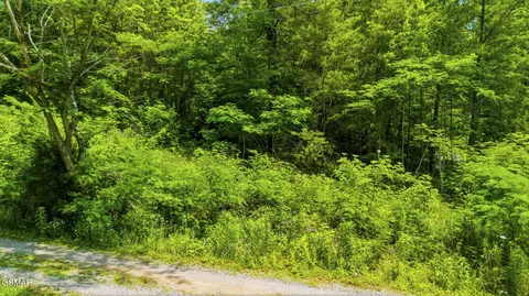 00 Boomer Way, Cosby, TN 37722