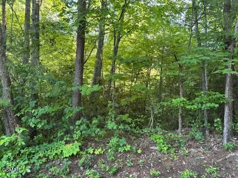 lot1461 A Ridgehigh Pass, Sevierville, TN 37876
